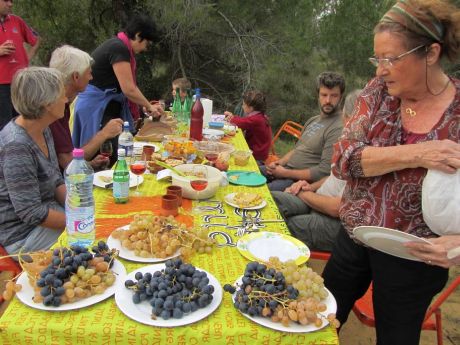 Repas de vendanges